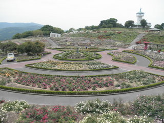 かのやバラ公園