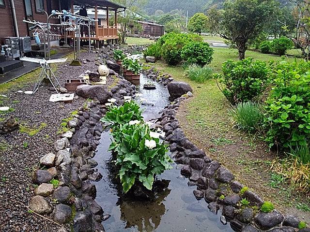 4月12日撮影　小川のカラー