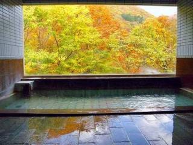 栗駒山麓を望む浴場