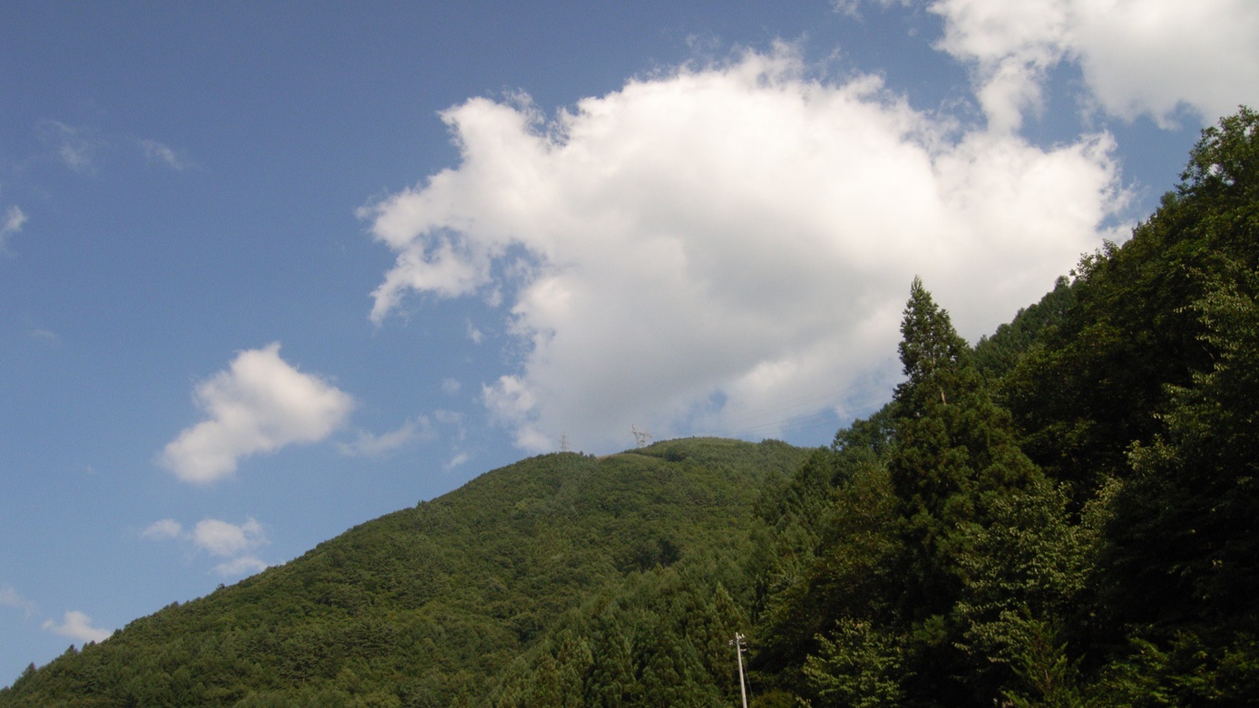 【素泊まり】緑に包まれた静かなお部屋でのんびり