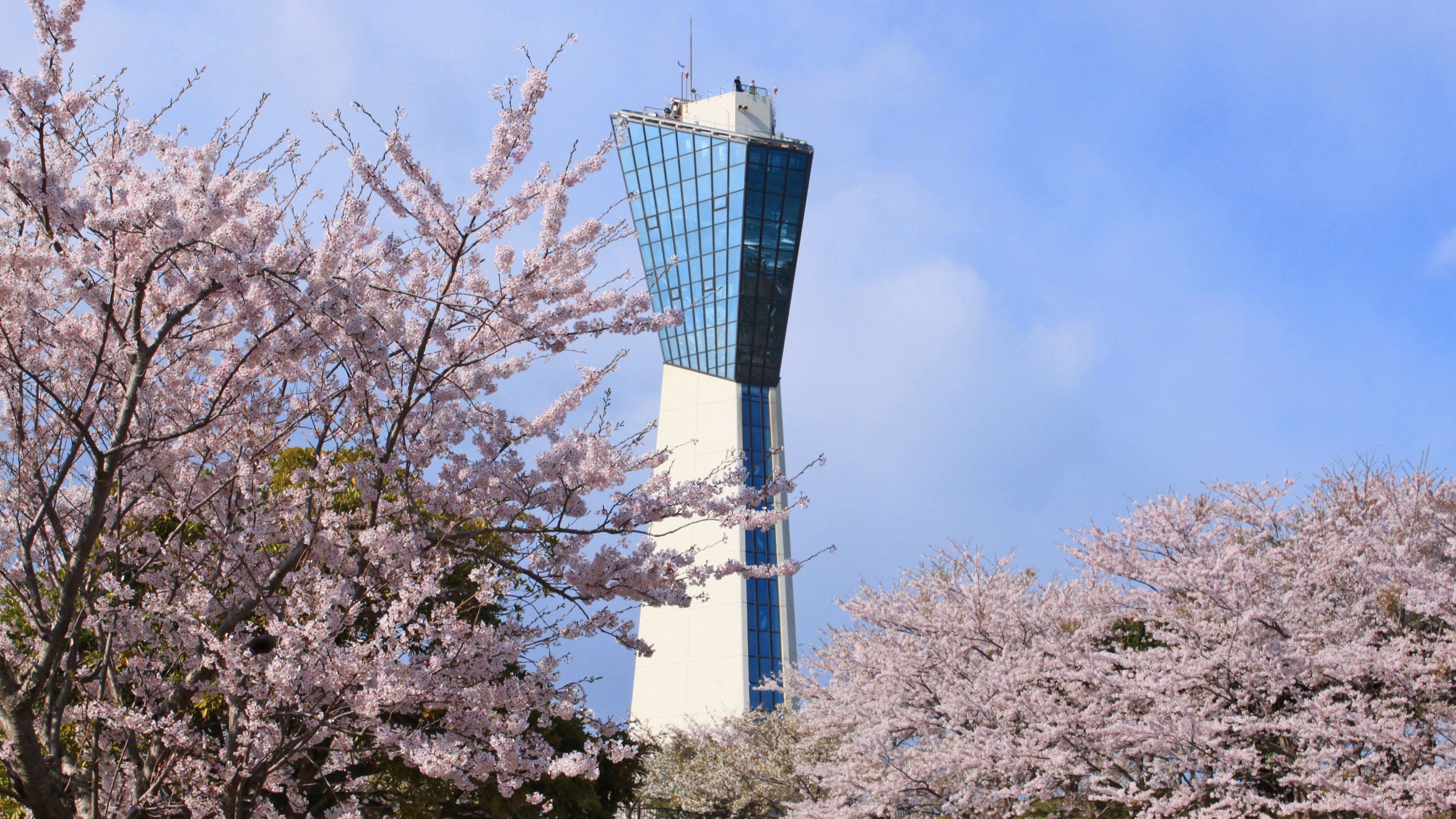 マリンタワー　（小名浜　三崎公園内）桜の名所です