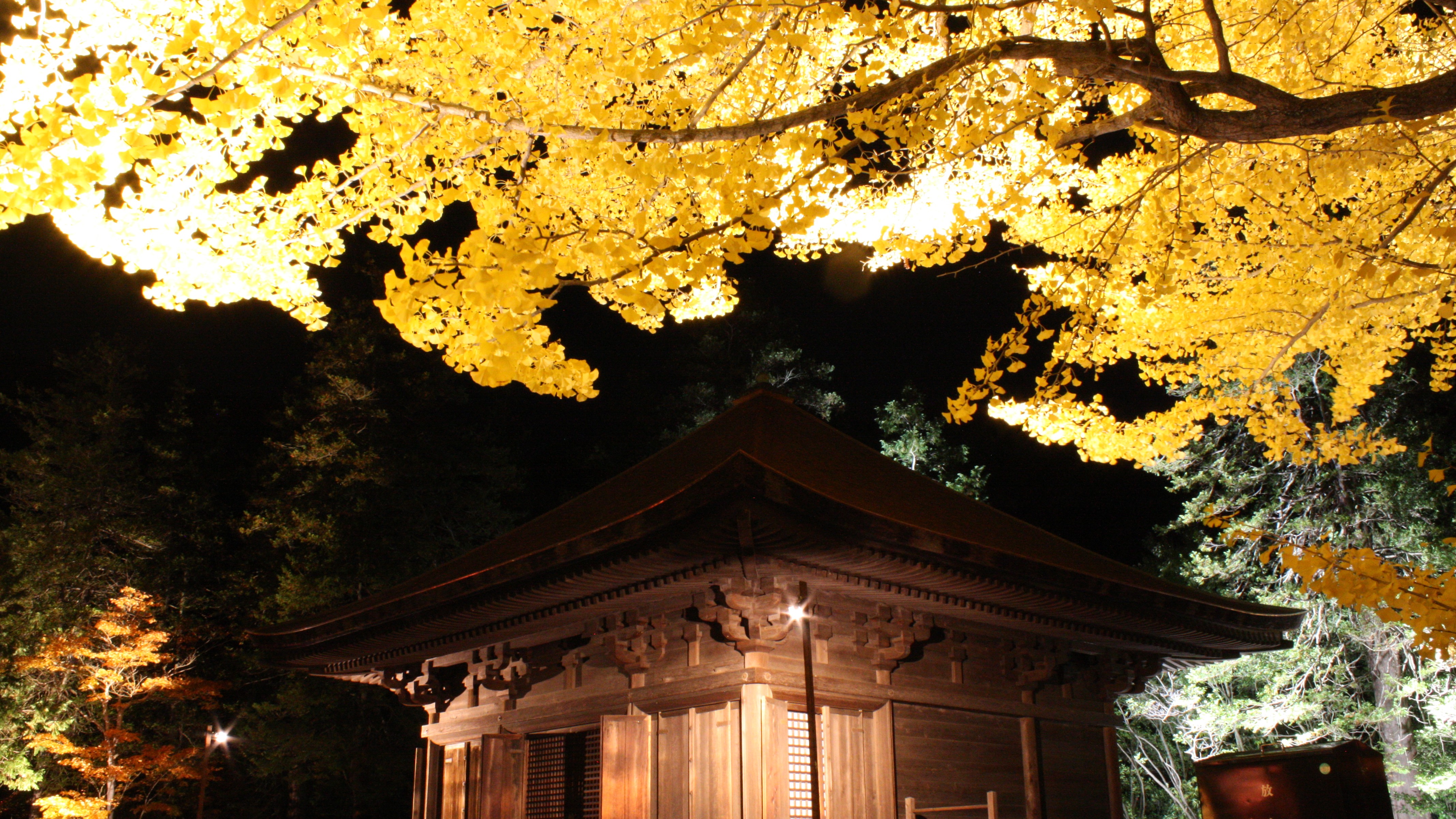 国宝　白水阿弥陀堂　ライトアップ