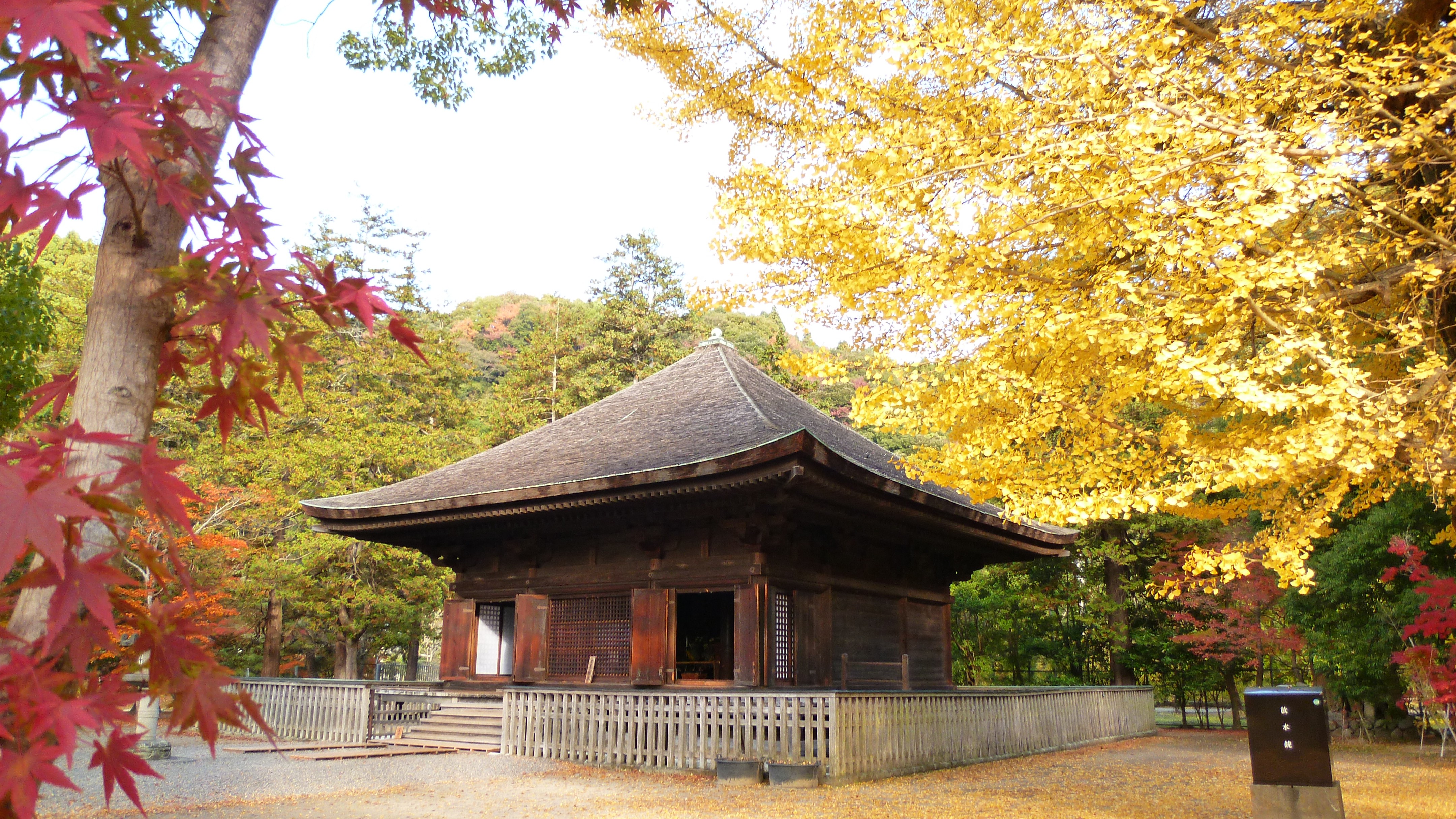  国宝　白水阿弥陀堂　秋