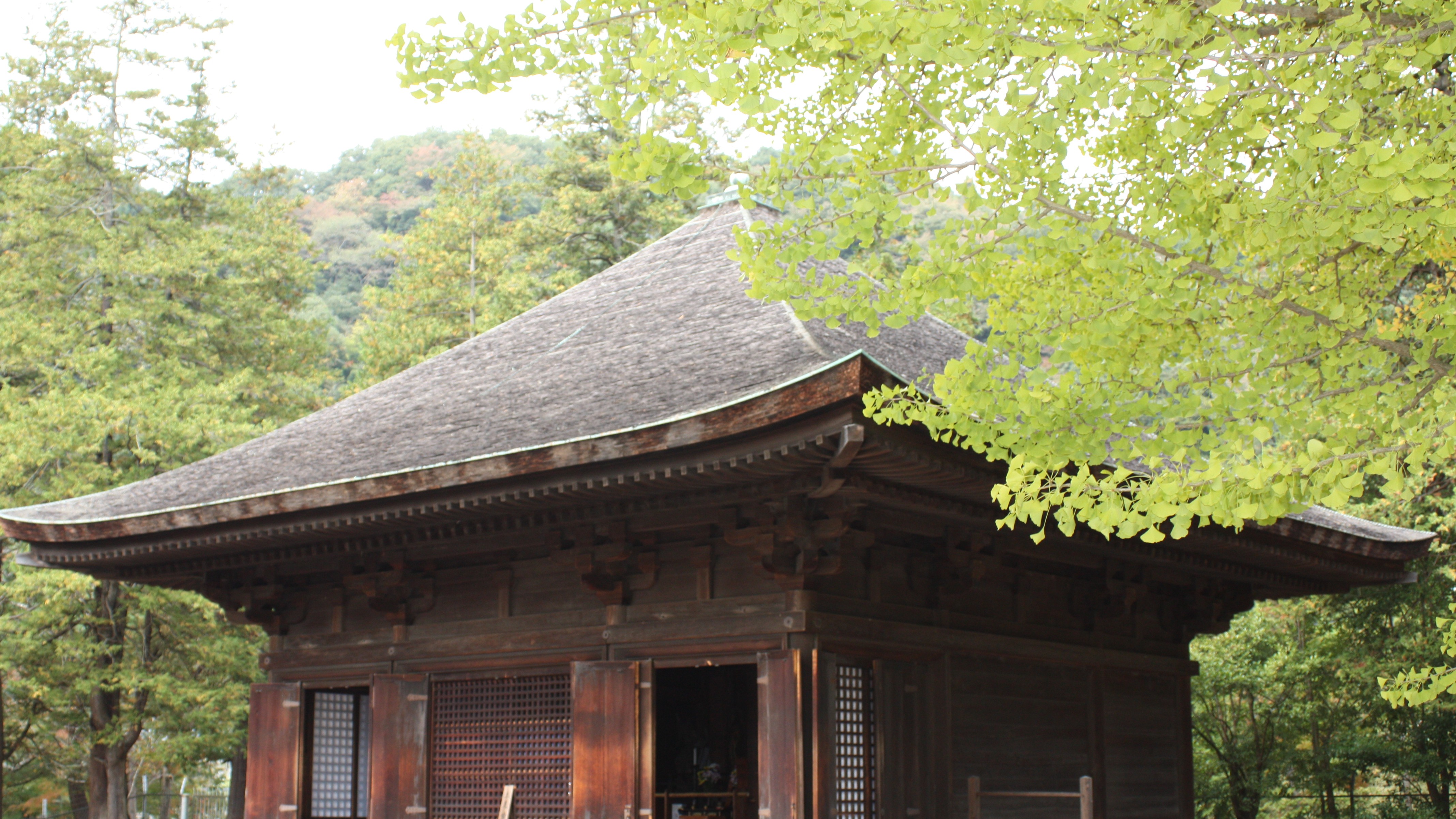 白水阿弥陀堂　夏