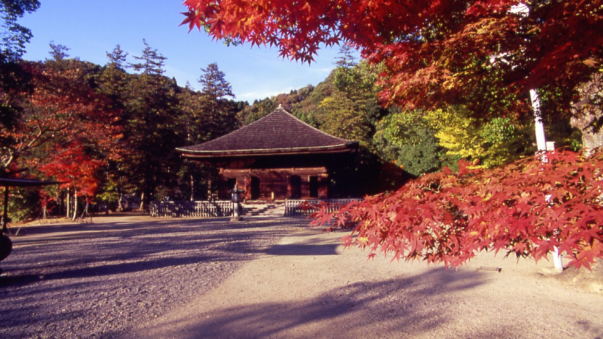  国宝　白水阿弥陀堂　秋