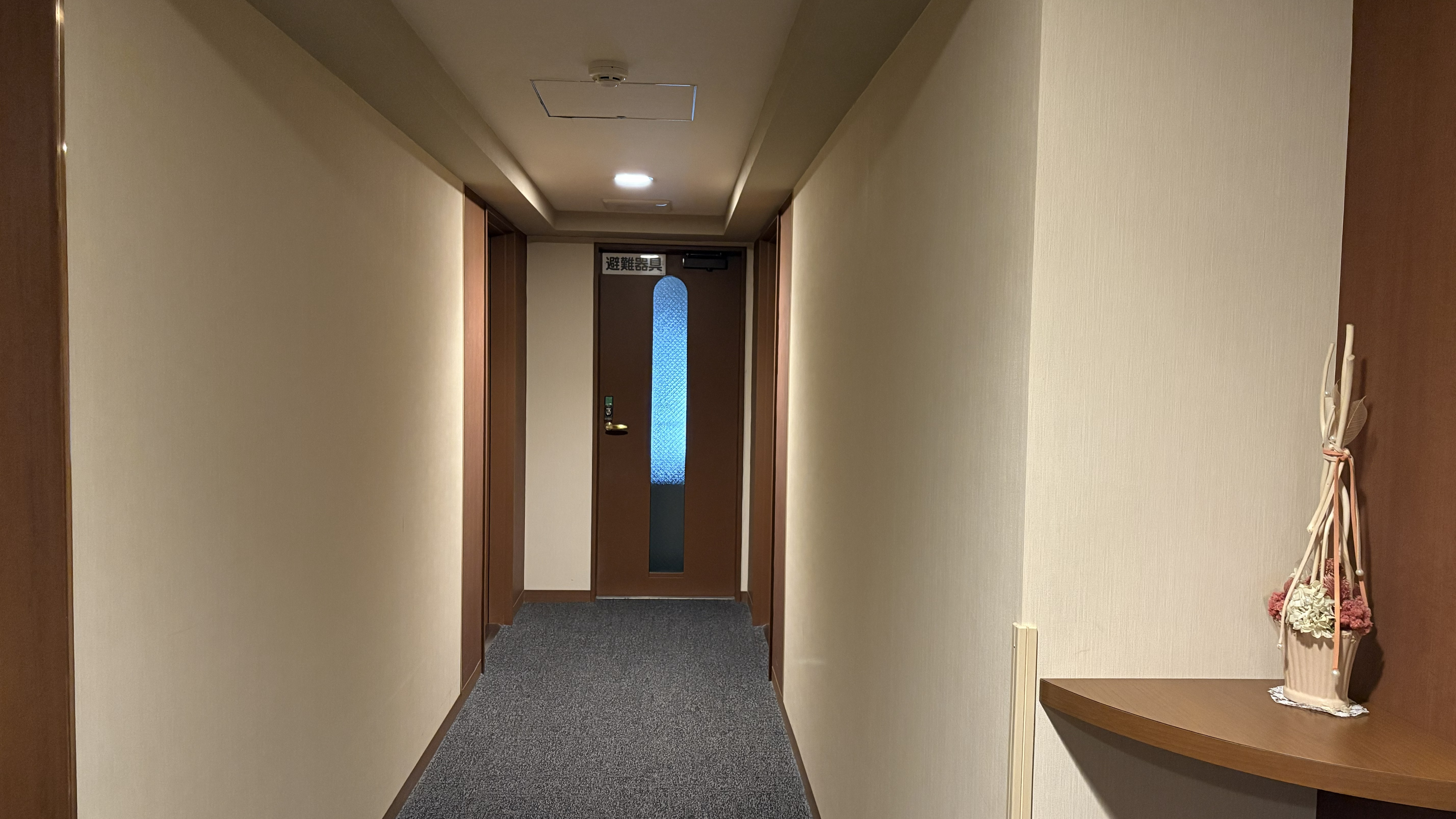 客室廊下　避難はしご