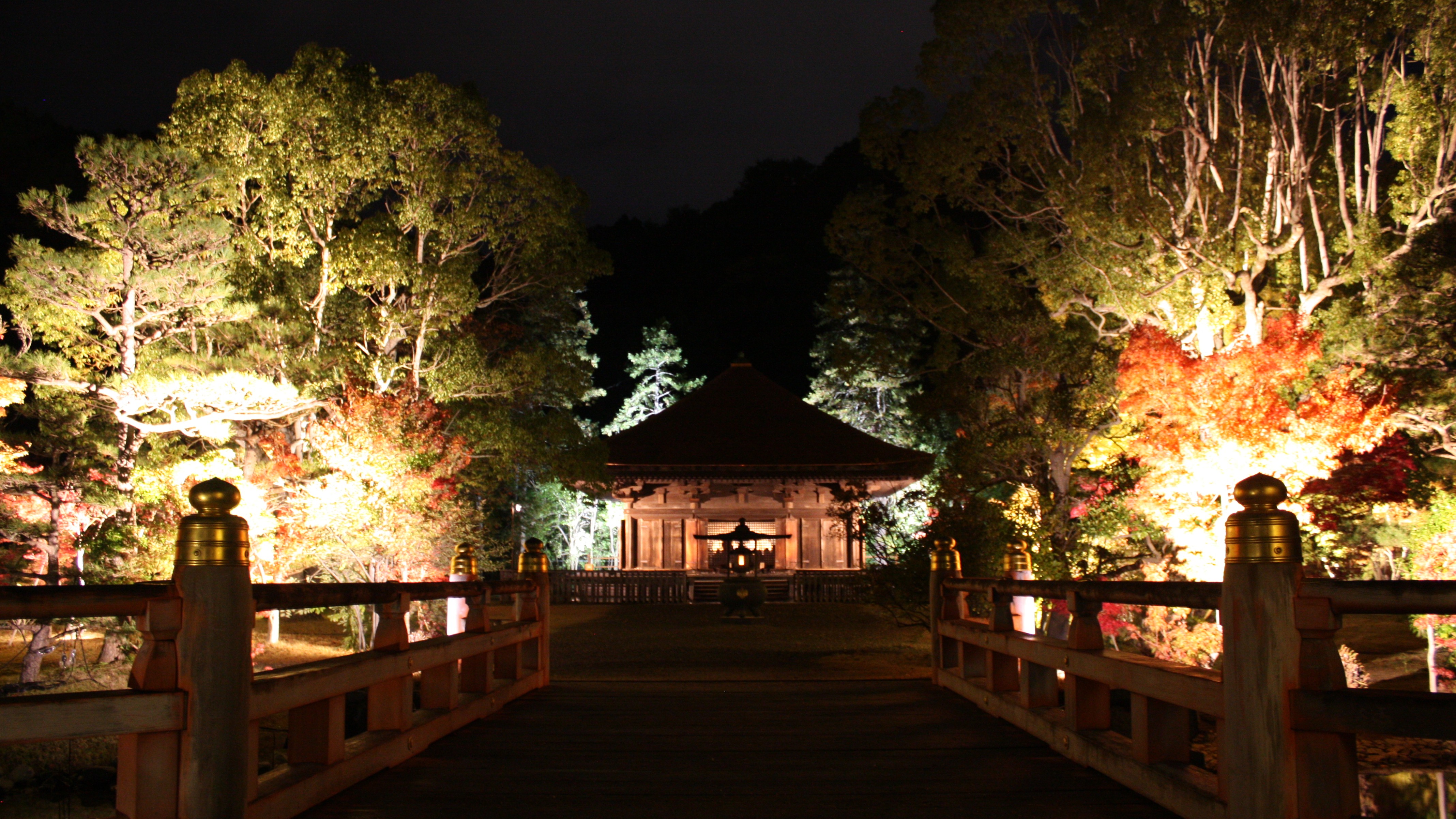 国宝　白水阿弥陀堂　ライトアップ