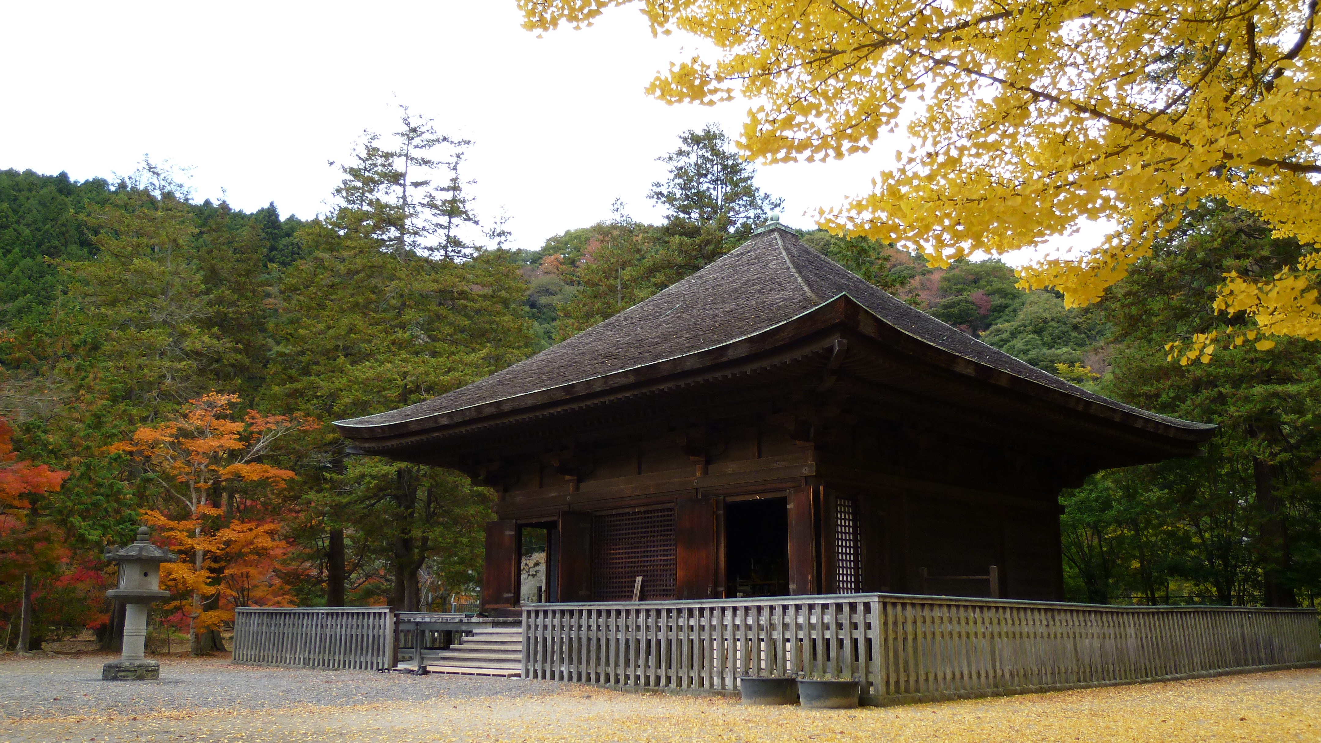  国宝　白水阿弥陀堂　秋