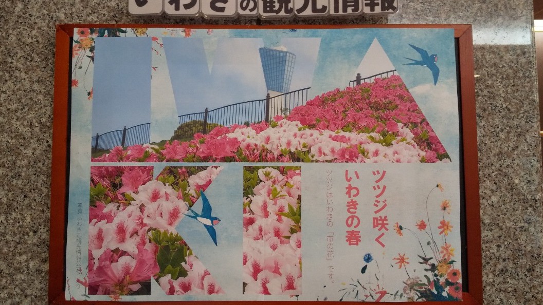 いわきのつつじのご案内