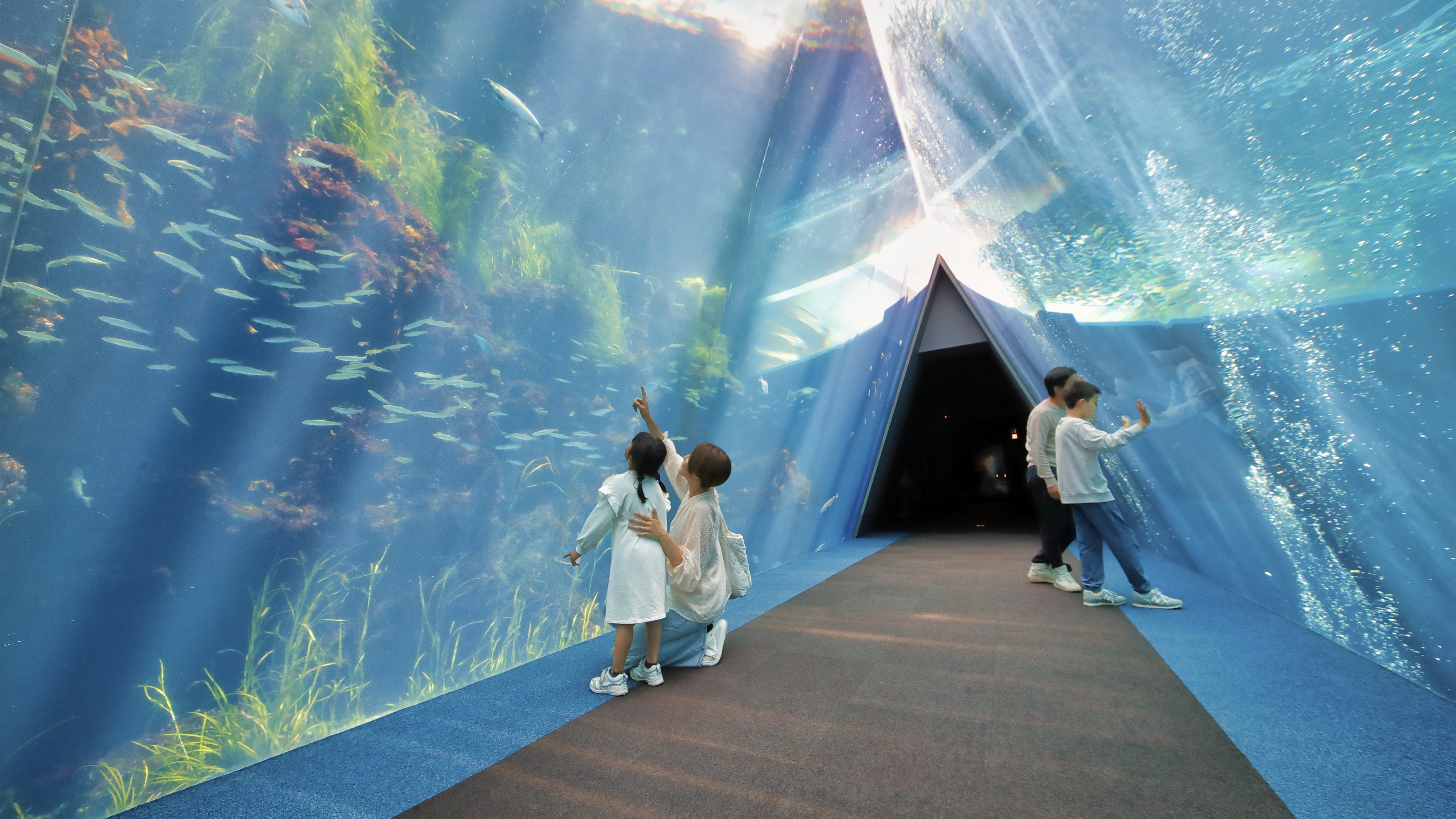 環境水族館　アクアマリンふくしま　　潮目の梅大水槽