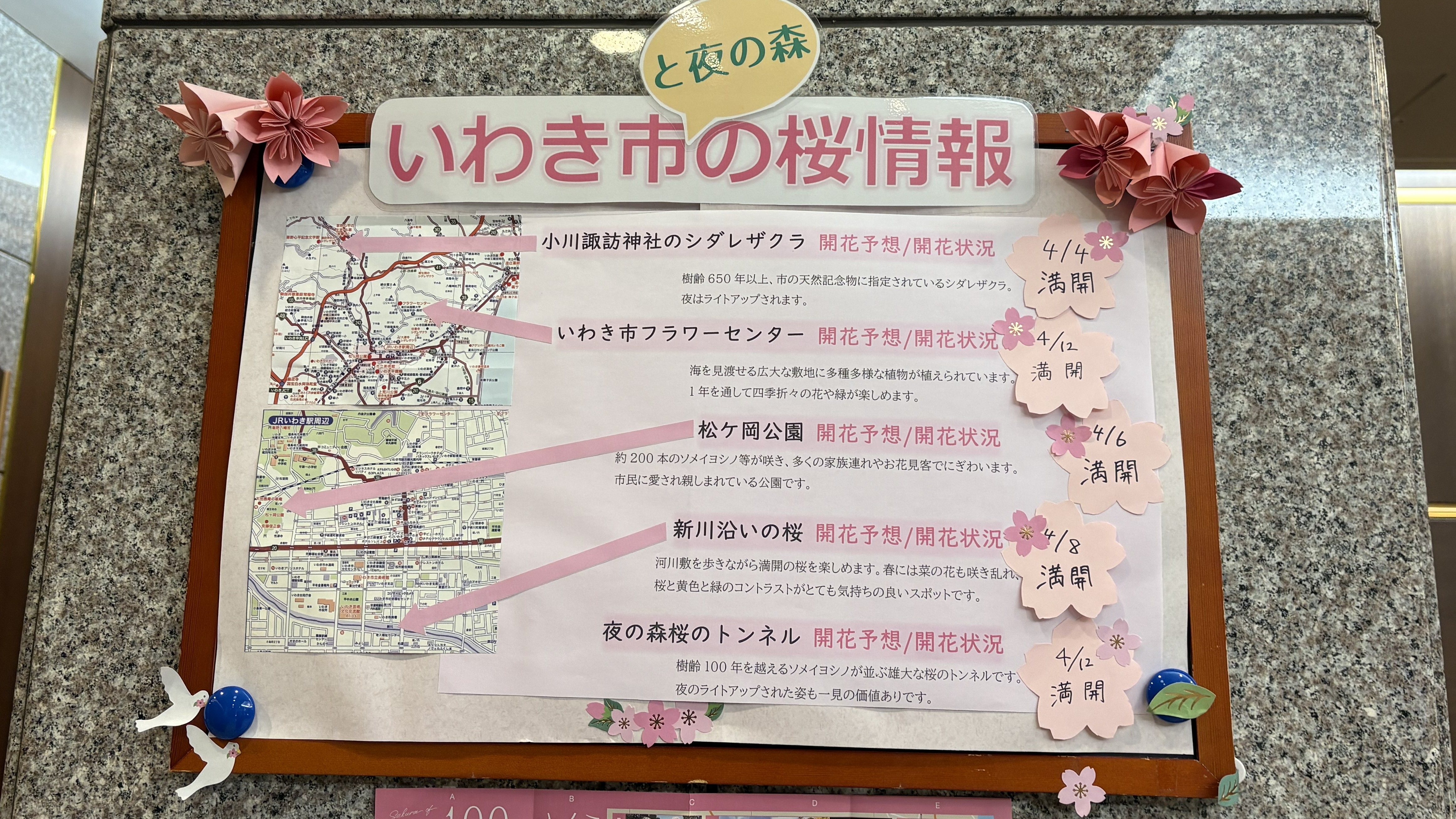 桜開花予報2025