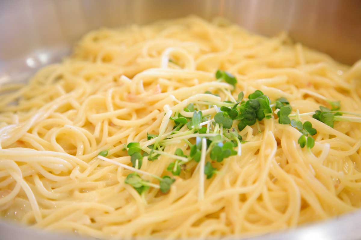 洋食　日替りパスタ