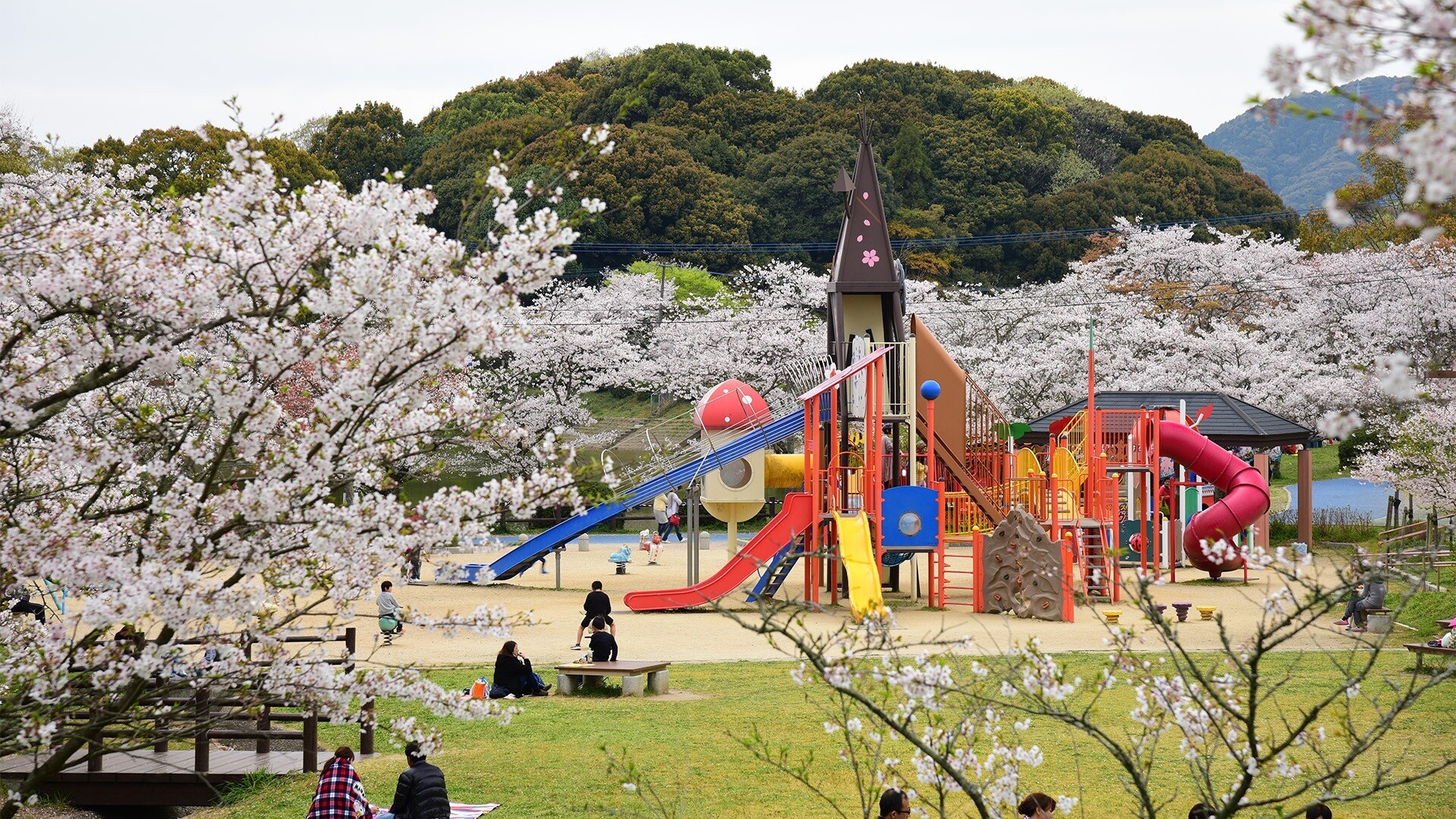 【甘木公園】　車で約7分
