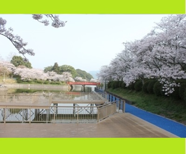 【甘木公園・通称丸山公園】車で約7分　県下屈指の桜の名所。また約5000株のつつじも見ごたえあり