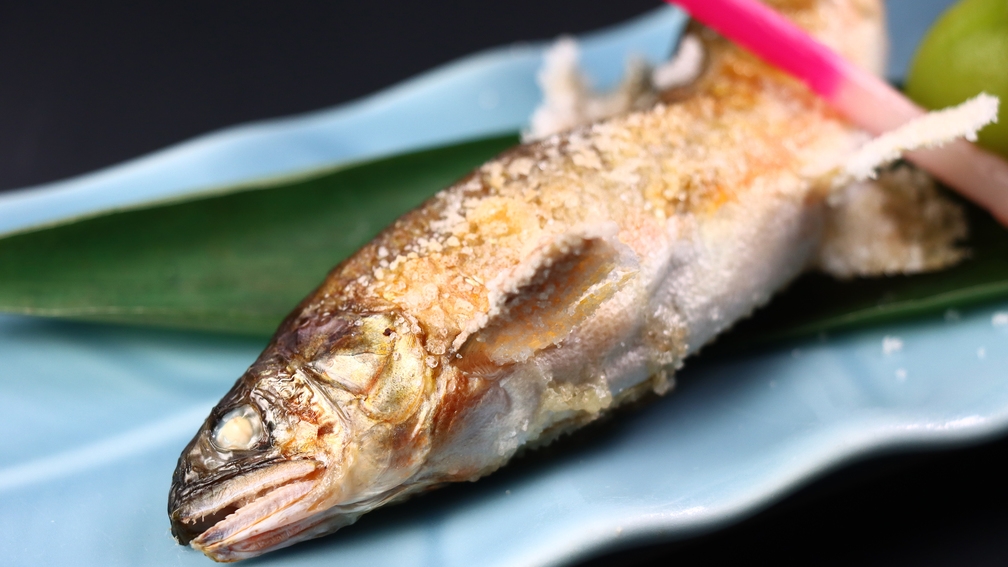 【リーズナブル】女性＆シニアに好評◆夕食は品数控えめのヘルシー会席《-hibiki-響》♪