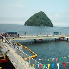 青森市　浅虫海づり公園