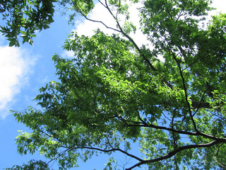 磐梯熱海の初夏の空