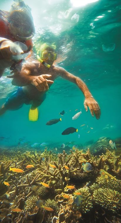 スノーケリング