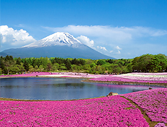 河口湖温泉 富士レークホテル - 写真 128