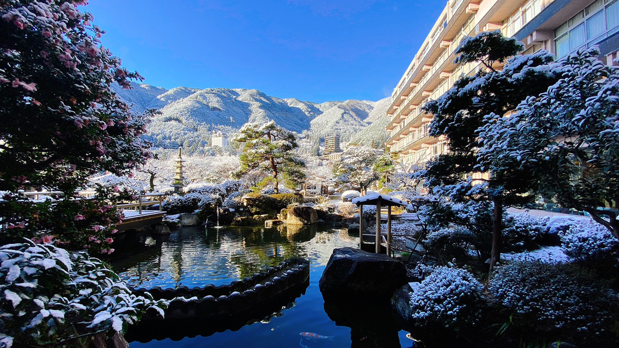 冬景色の日本庭園