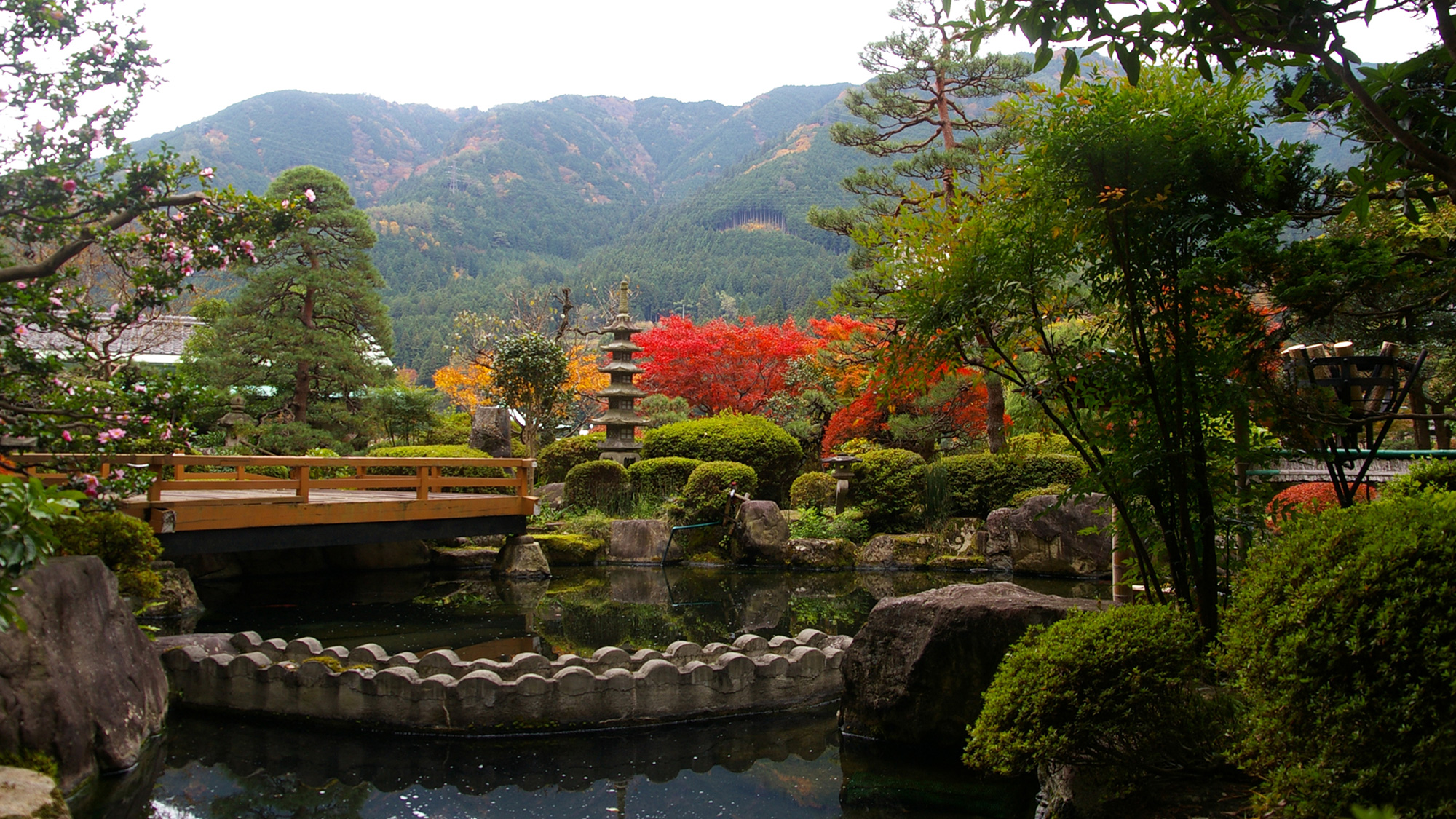 秋の日本庭園（池）