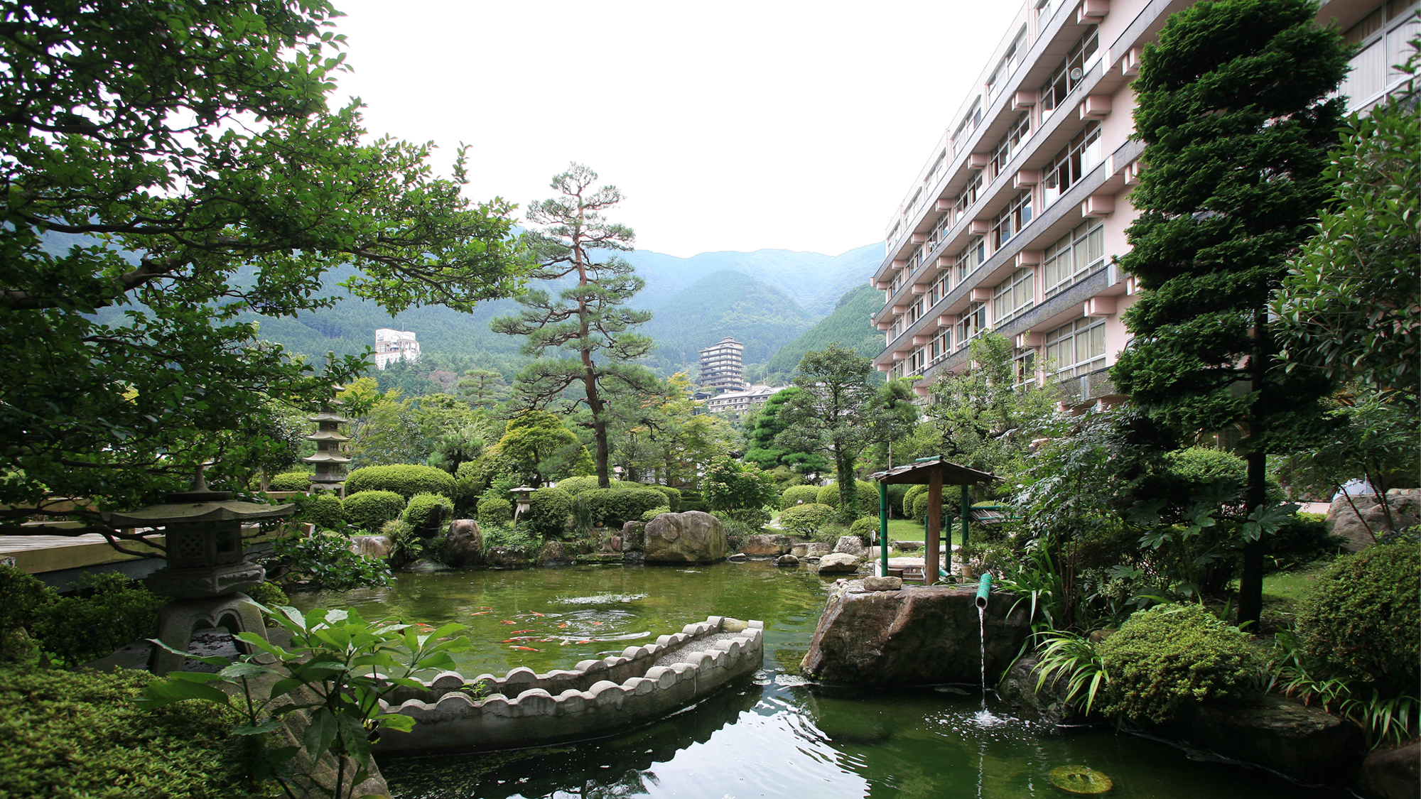 日本庭園の木々と池
