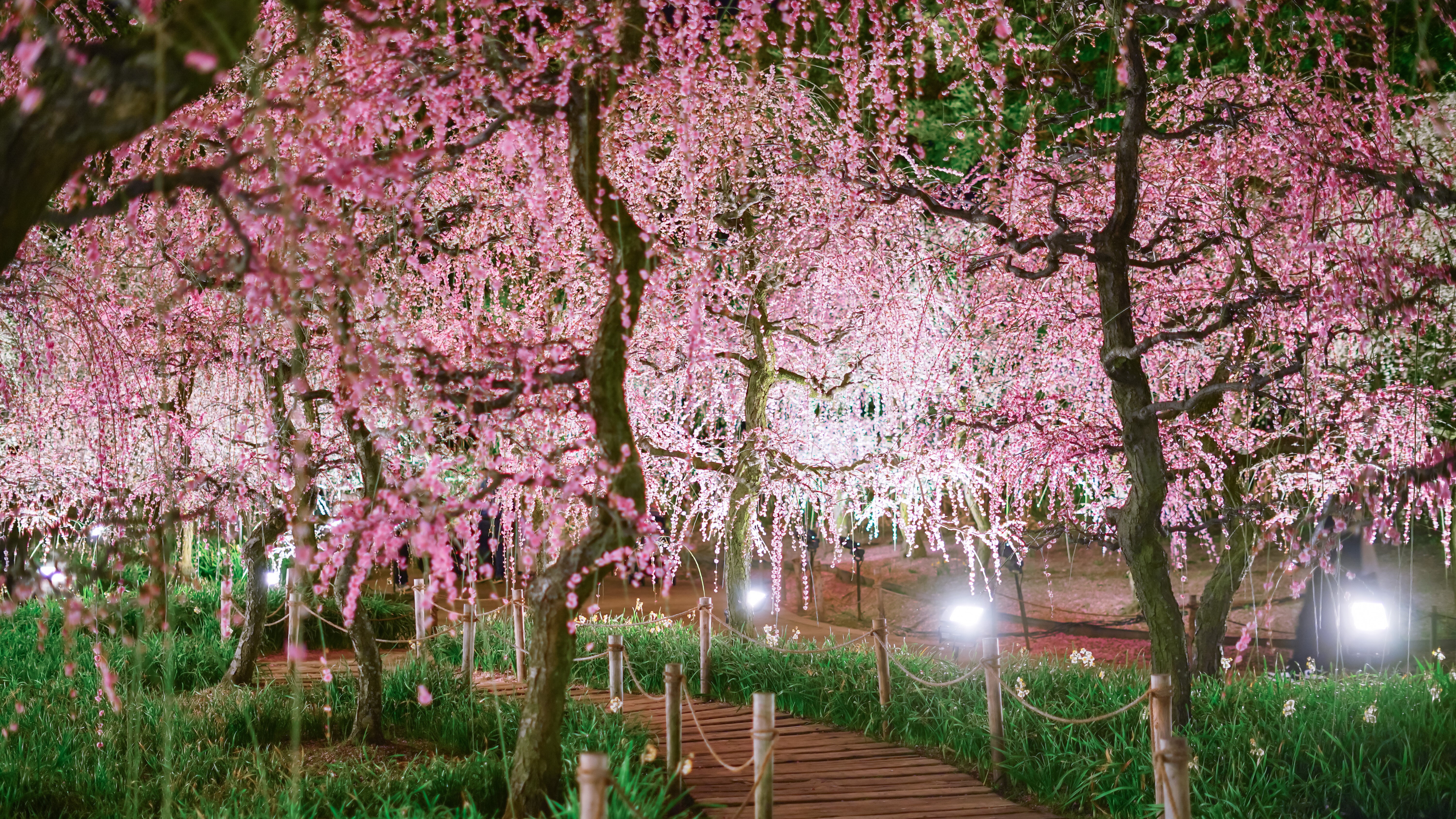 桑名グリーンホテル＜桑名駅前＞ - 写真 49