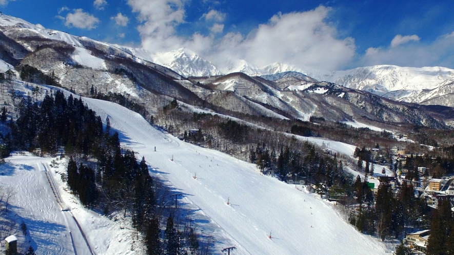 【周辺】日本屈指のスキー場と評される、白馬八方スキー場。様々なコースをお楽しみください。