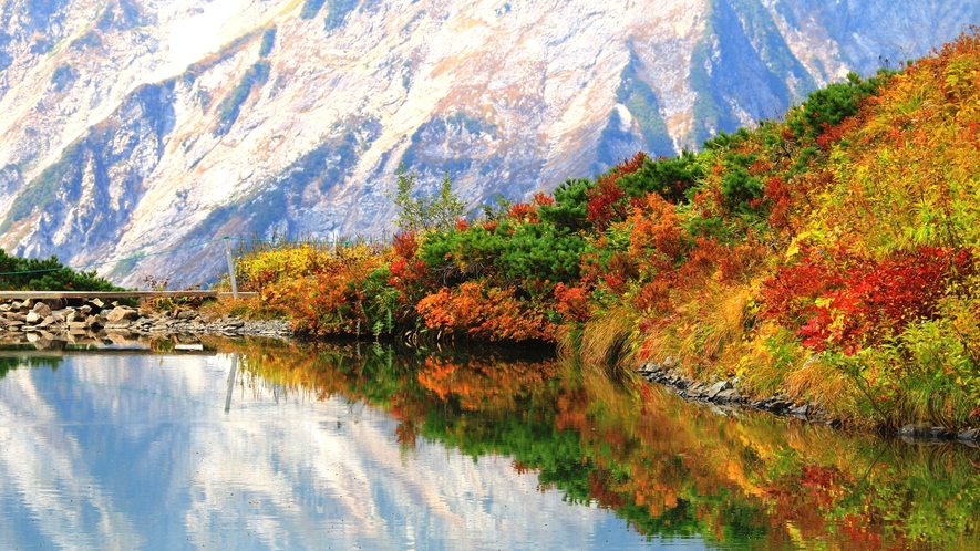 【周辺】紅葉の八方尾根。山々の水鏡は絶景。