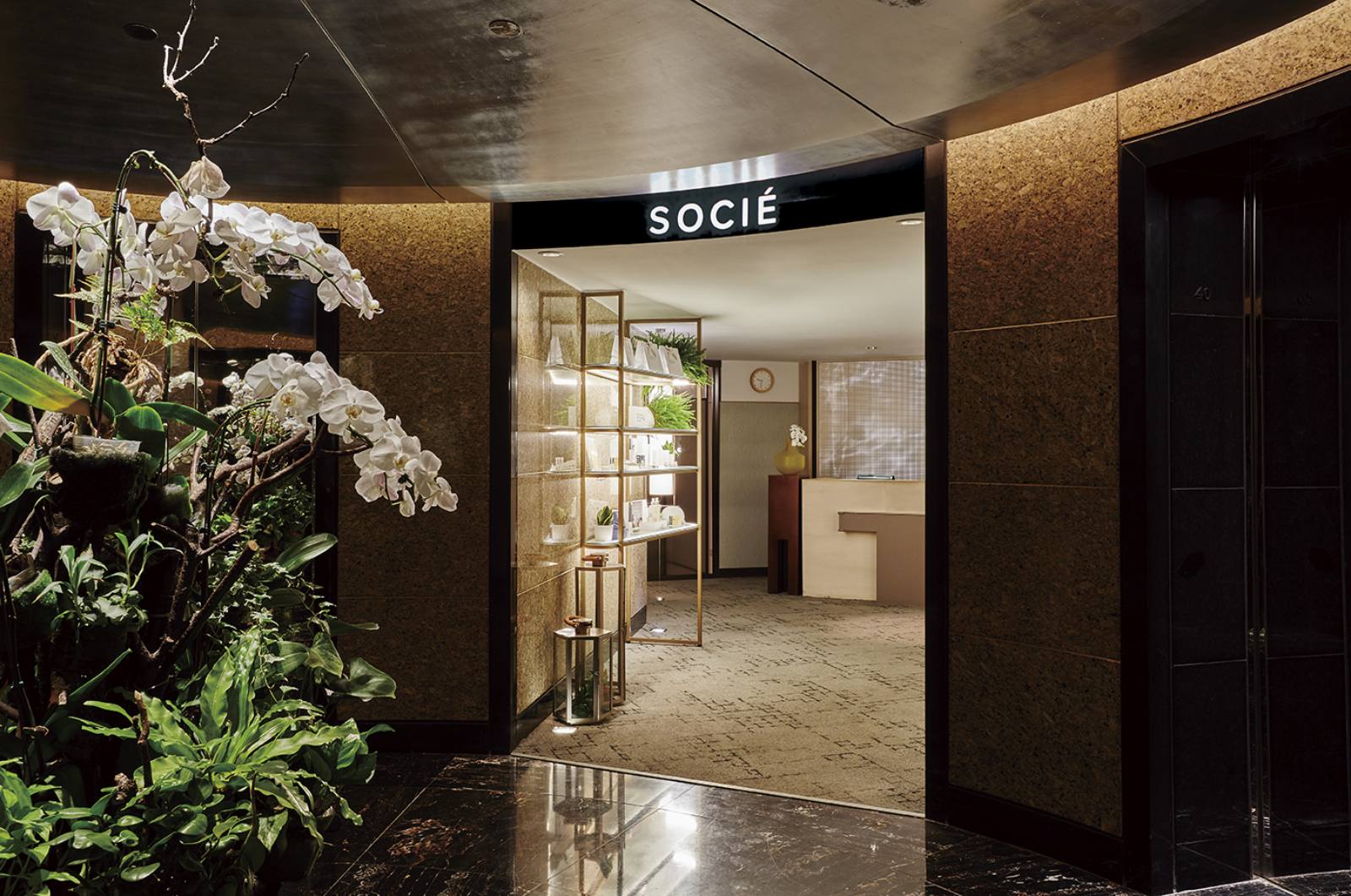 SOCIE SPA