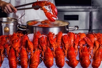 Buffet Lobster