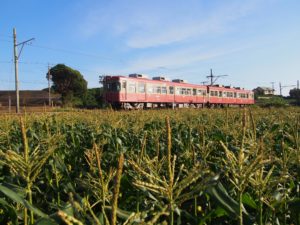 銚子の町を走るレトロな銚子電鉄