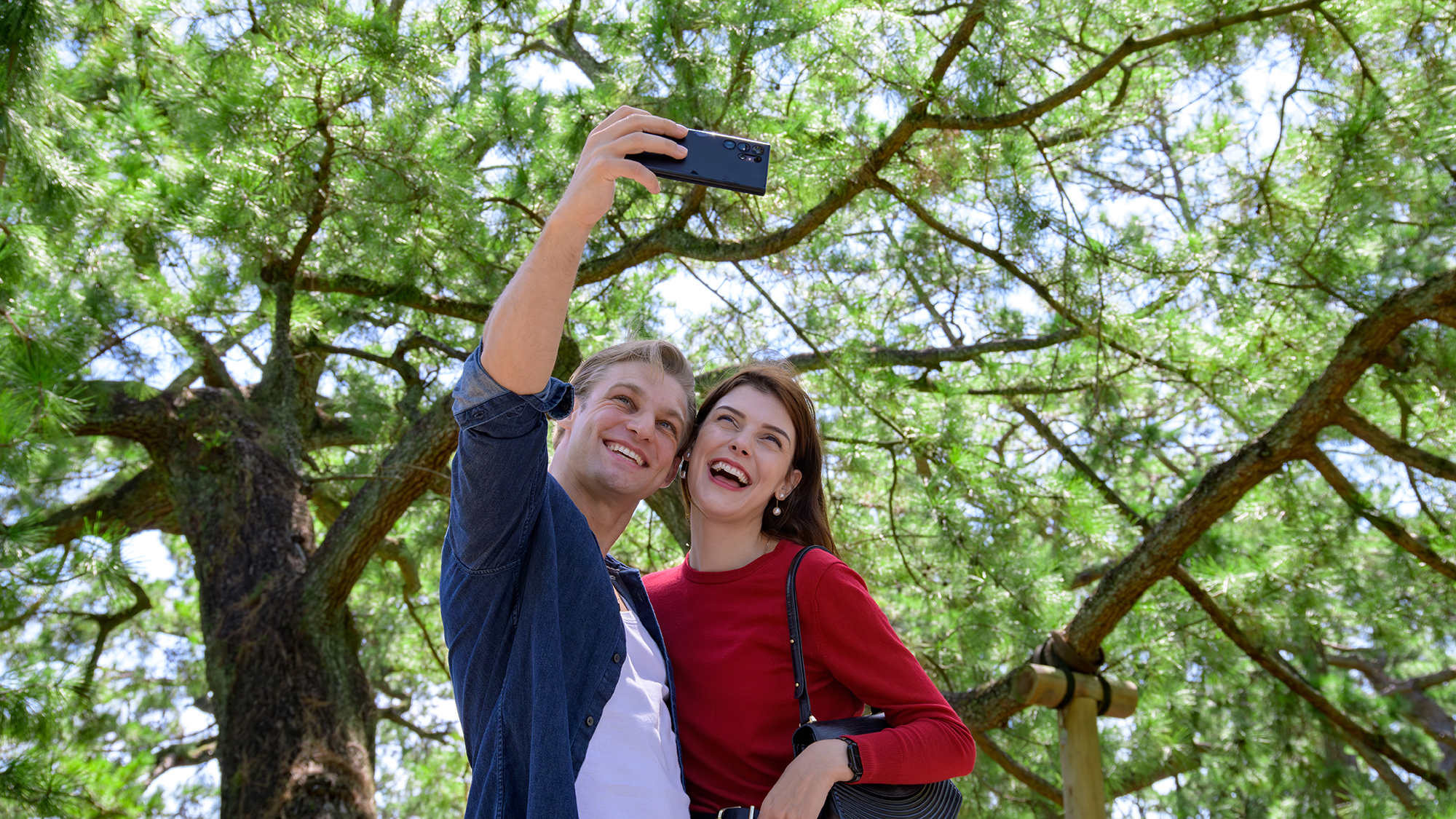 *周辺：羽衣天女の衣がかかっていた伝説のある「羽衣の松」の前で記念撮影