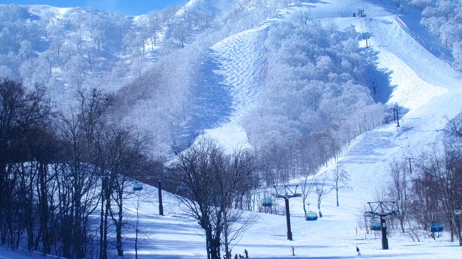 【2食付】最高の雪♪リフト1日券付きプラン