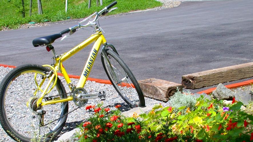 自転車最高！