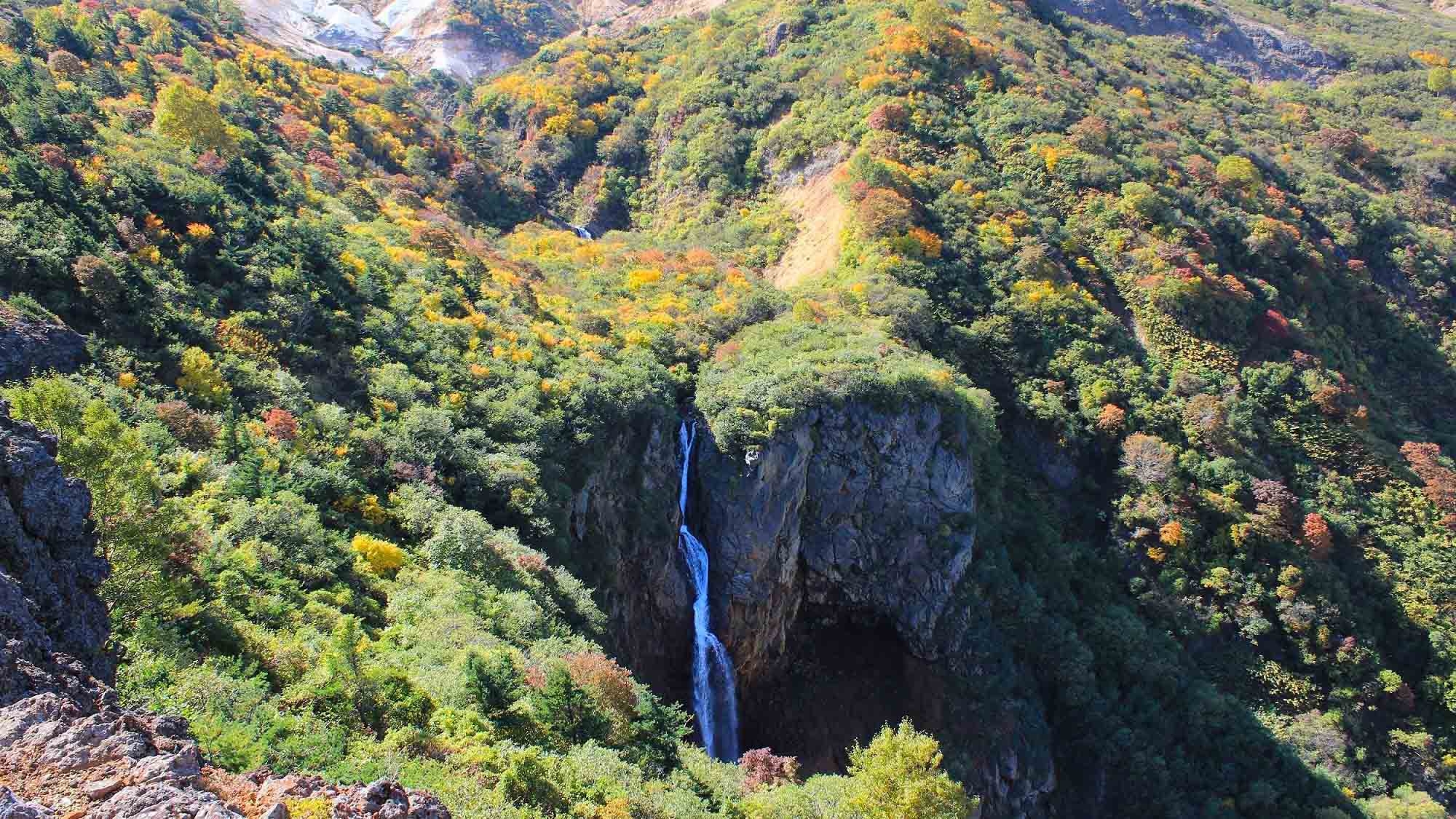 【秋限定】紅葉のみやぎ蔵王へ♪ 食欲の秋×温泉を満喫！プラン