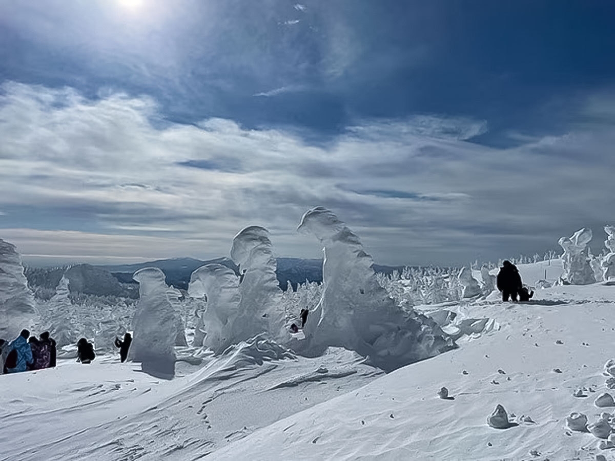 【冬季限定】宮城蔵王満喫プラン（みやぎ蔵王樹氷めぐり＋仙台牛ステーキ）