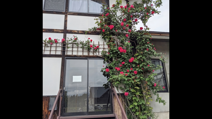 *【宿周辺の風景】バラの蔓が伸び、建物がかわいらしく（6月ごろ）