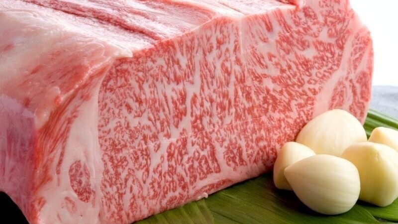 【ご当地グルメ】肉食派必見！栃木のブランド牛「とちぎ和牛」を食して極上旅♪日本料理●