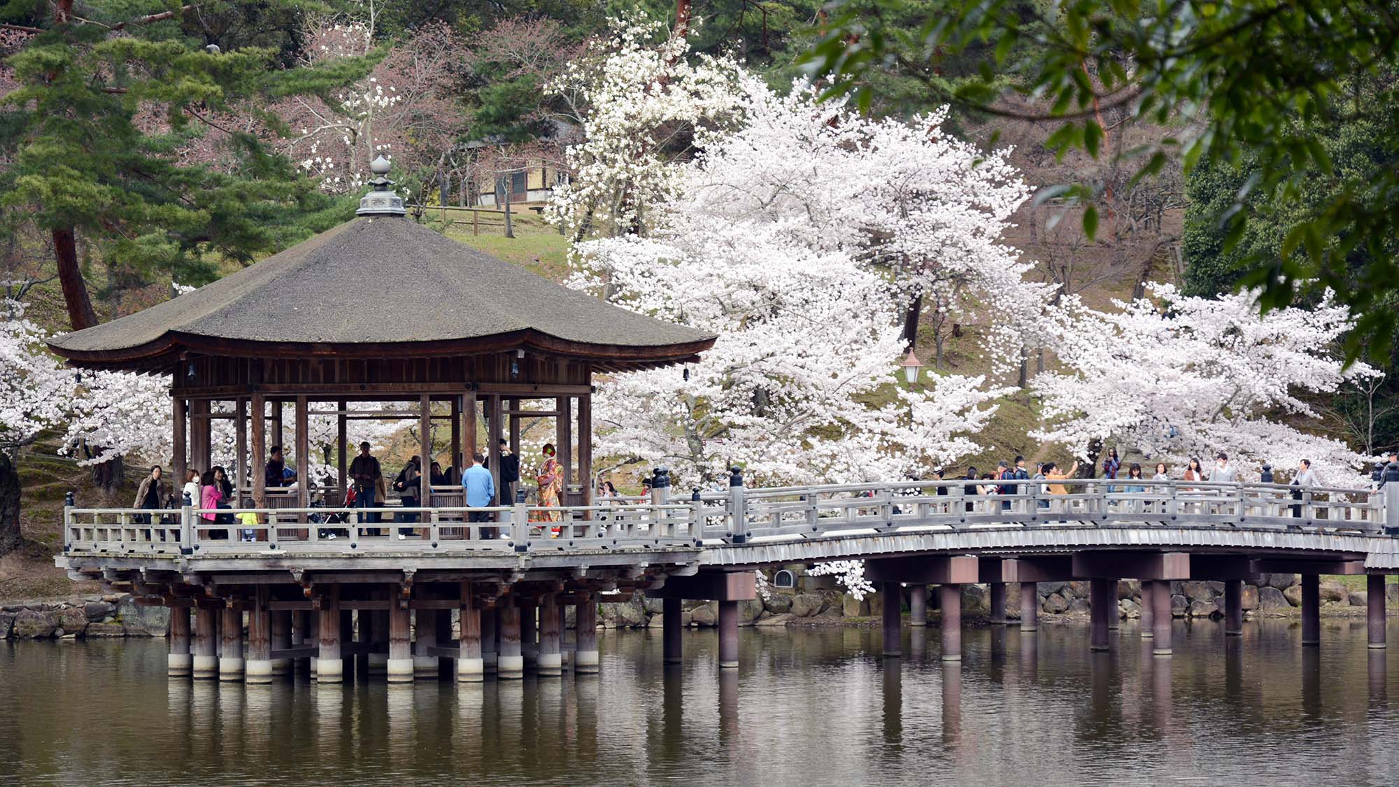 ・【周辺】春の桜、秋の紅葉と季節ごと移り替わる鮮やかな景色が観光客に人気です