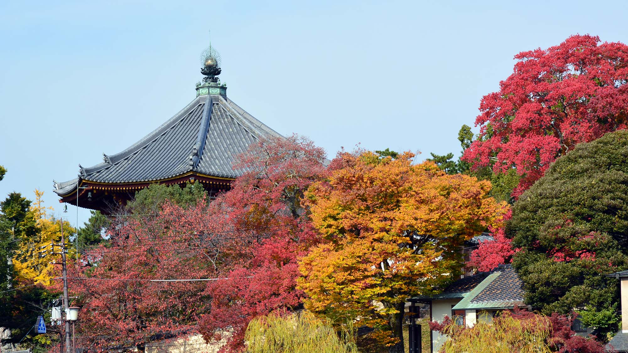 ・【周辺】奈良の紅葉は◎寺社仏閣と色づく木々の艶やかさに日本の美を感じます