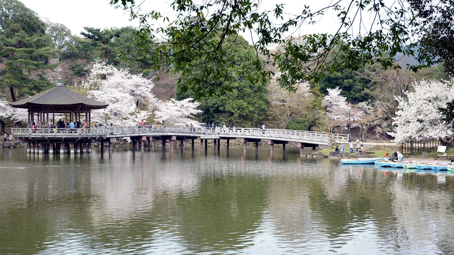 ・【周辺】奈良公園内の浮御堂。お堂、桟橋、ボートの上など様々な角度から桜をどうぞ