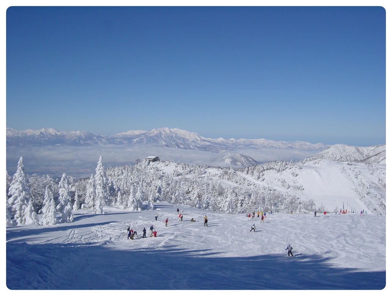 For overseas customers　Winter Plan[【海外のお客様向けプラン】