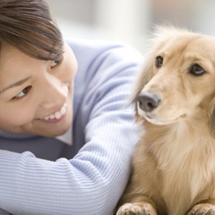 わんちゃんと一緒に