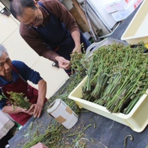 ６月蕨が美味しい季節です。