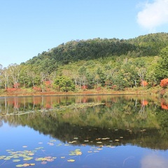 一沼紅葉