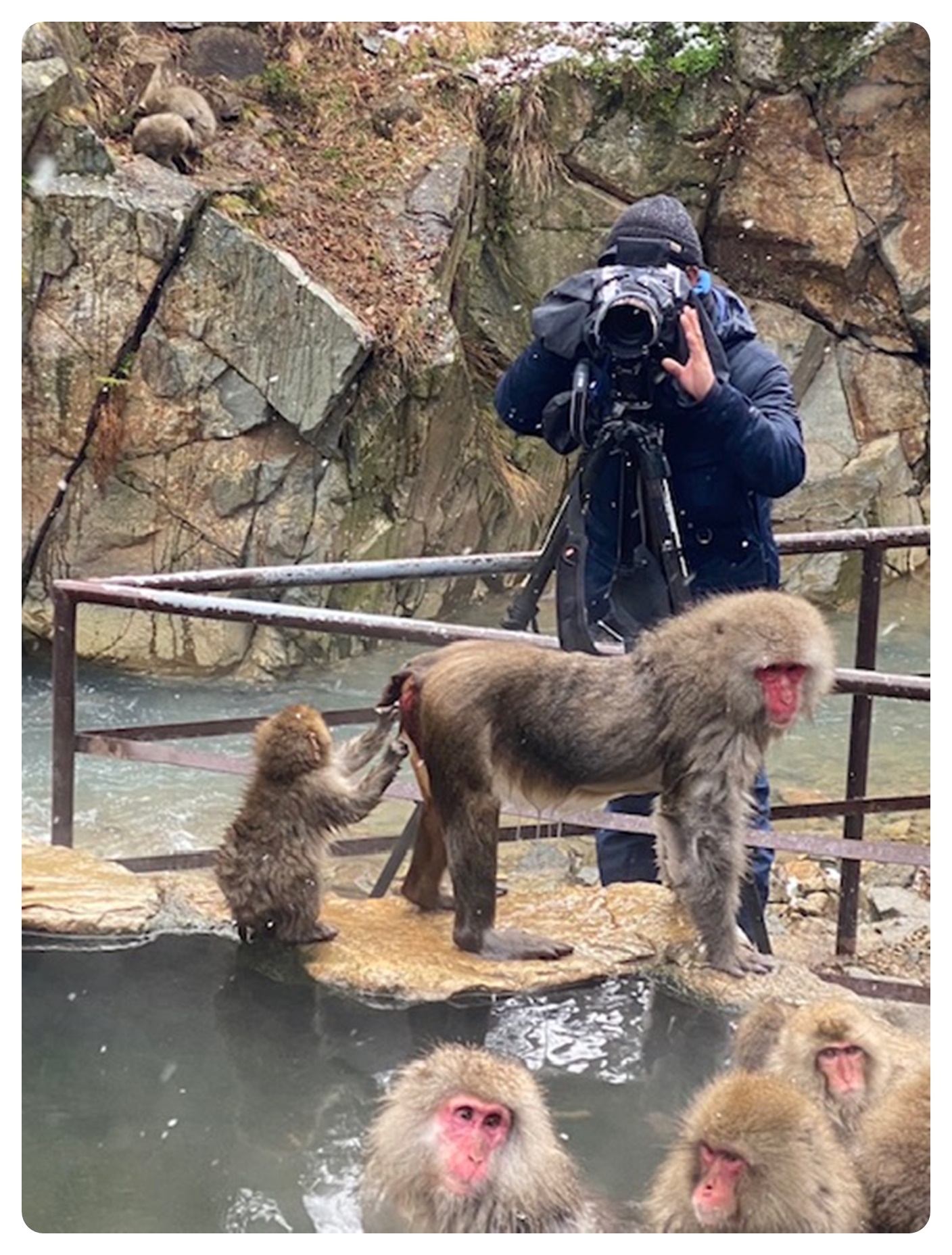 地獄谷