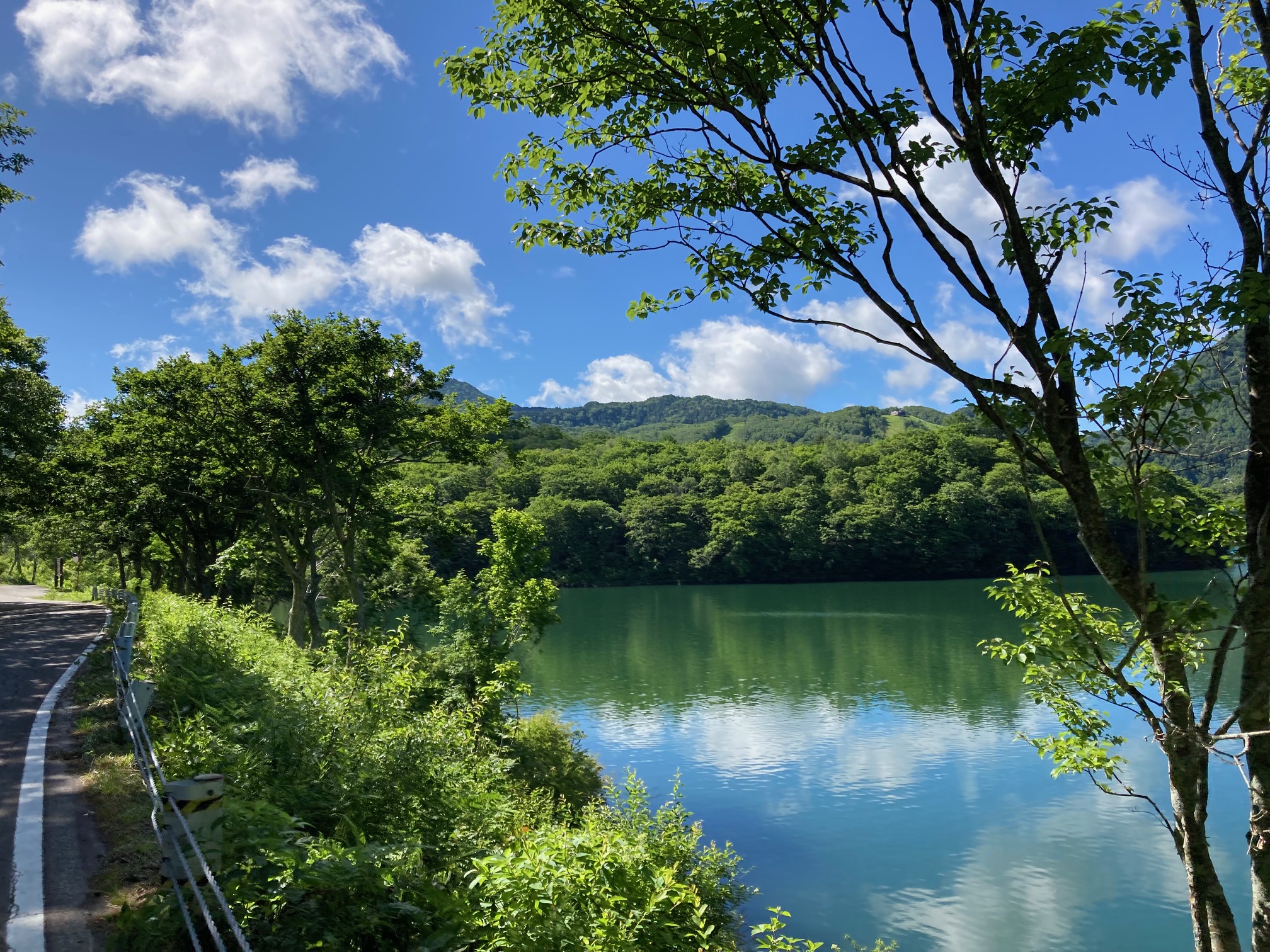 ホテルから8分ビワ池