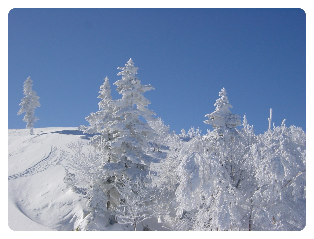 志賀高原ゲレンデ