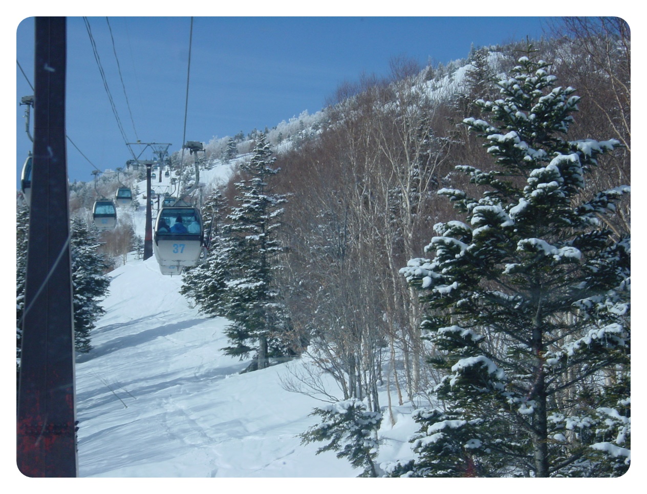 志賀高原ゲレンデ